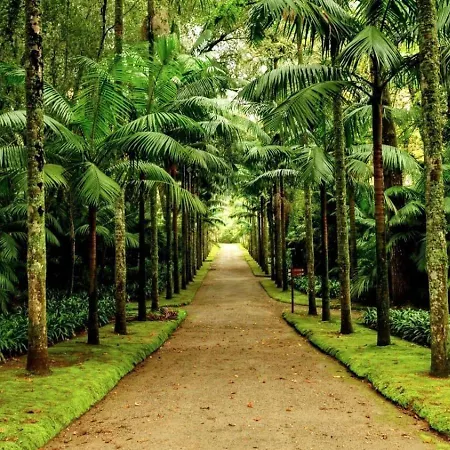 Coracao Furnas (Azores)